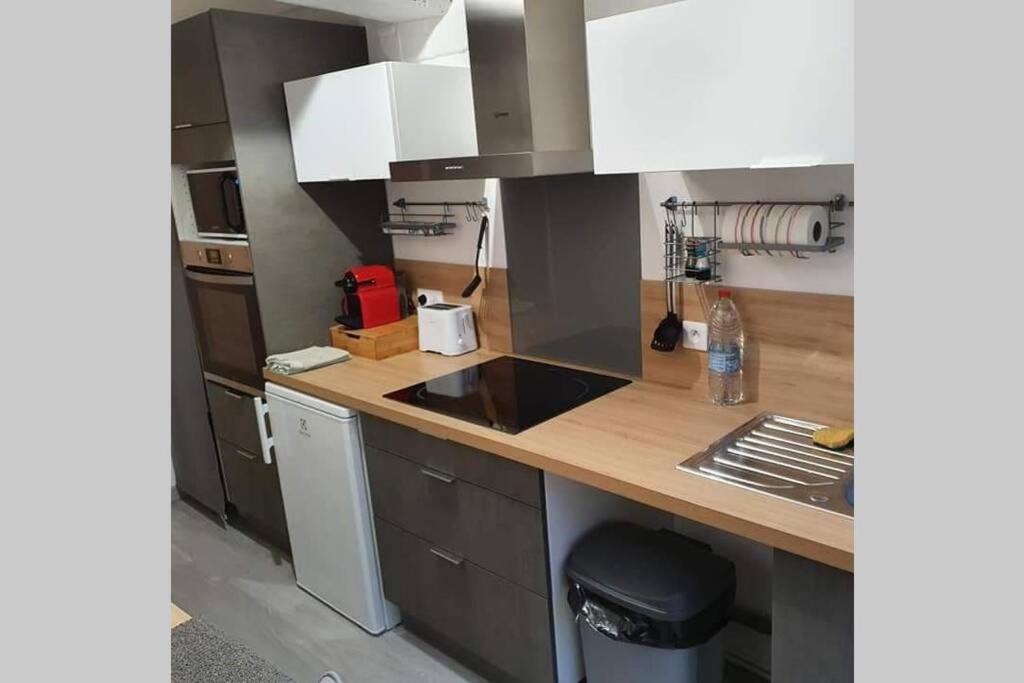 Appartement Avec Jardin Hyper Entre Valenciennes Eksteriør billede